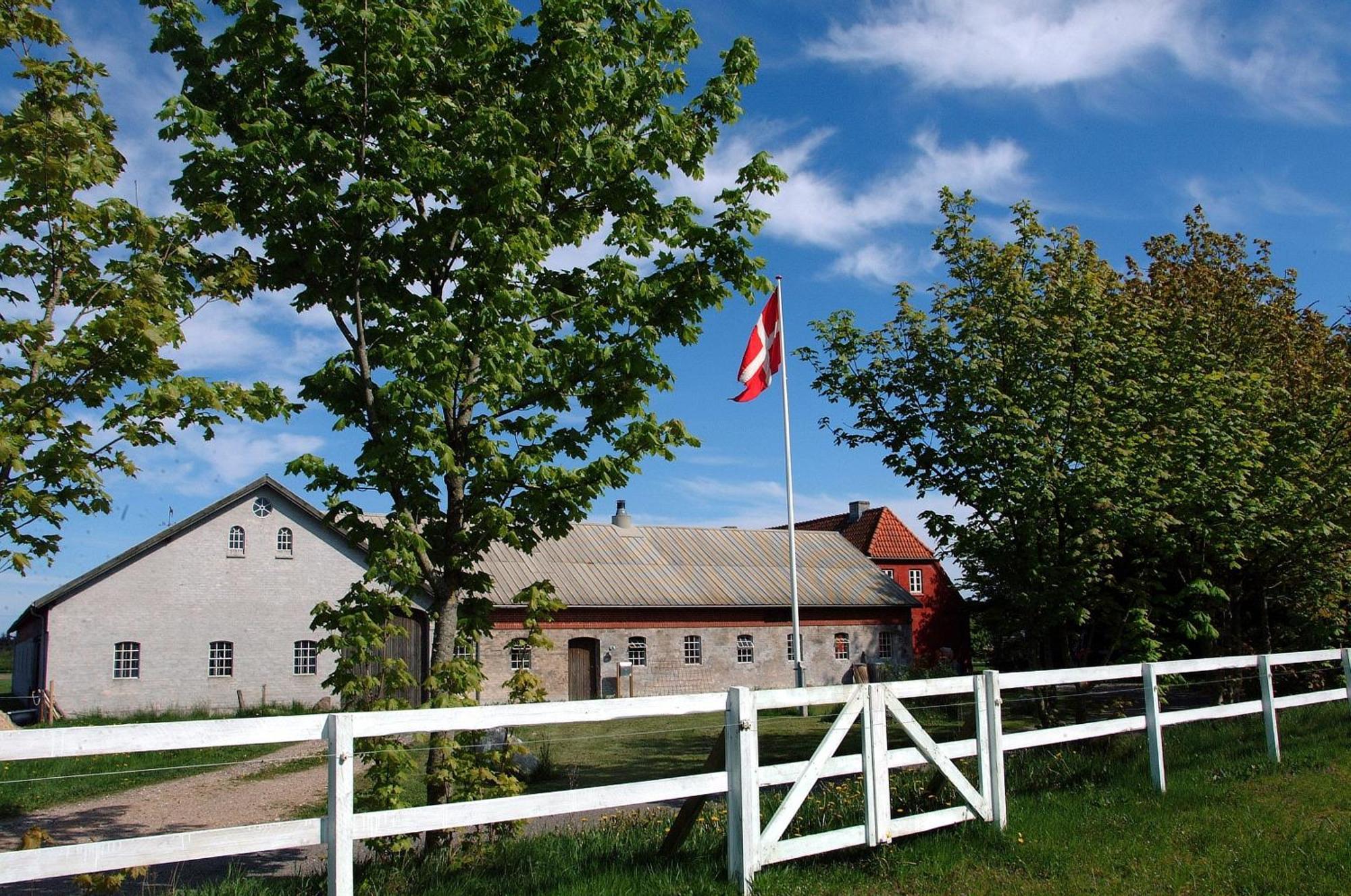 Nordkap Farm Holiday & Hostel Bindslev Exteriér fotografie